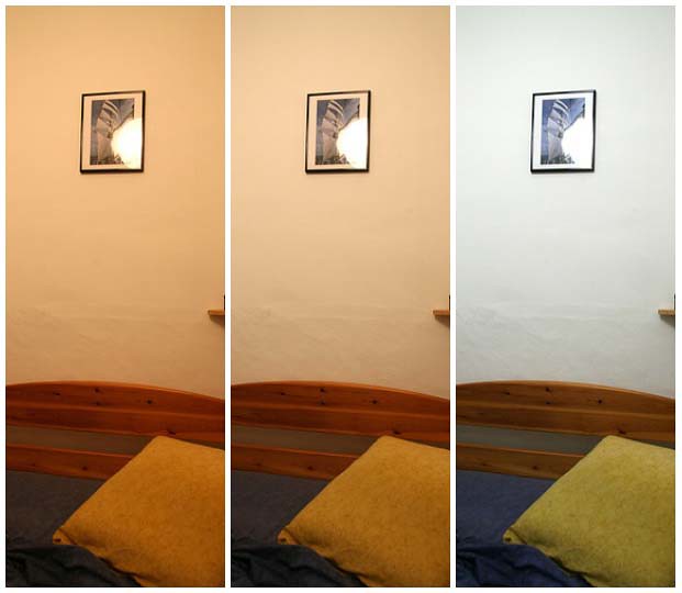 Podcast, Live, Conference, Tutorial, Editing and Many More with Fox Talks